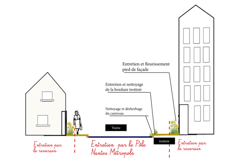 Ma rue en fleurs : des kits de graines gratuits pour fleurir votre