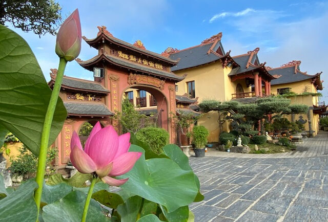 Vue-de-la-cour-de-la-pagode-et-d'une-fleur-de-Lotus