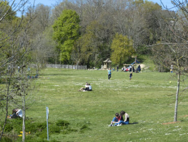 Prairie du parc de la Carrière