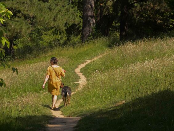Une habitante se promène avec son chien dans le parc de la Gournerie