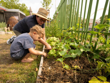 Un jeune enfant découvre des plantations de légumes dans sa cours de récréation, en compagnie de son enseignante.