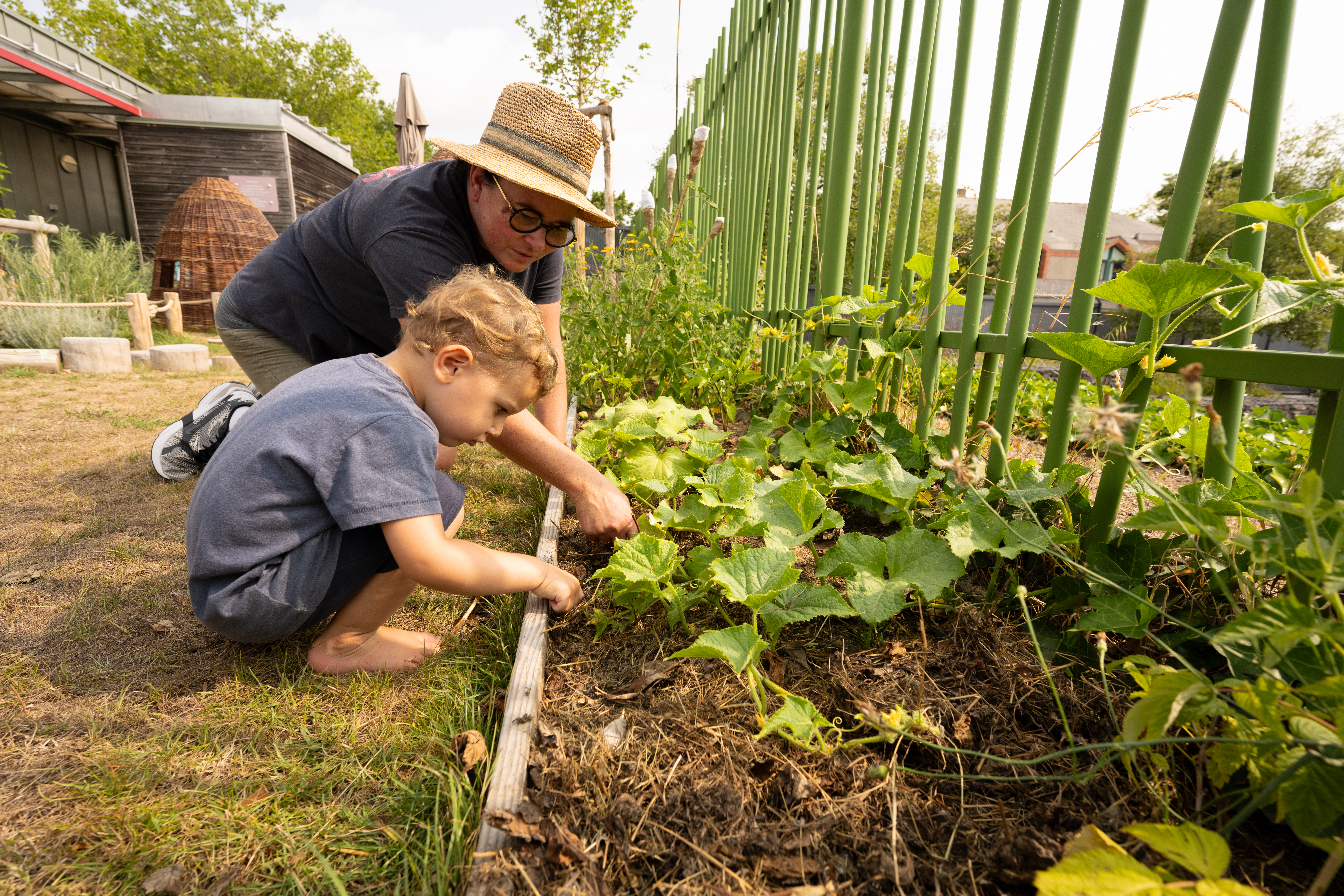 Un jeune enfant découvre des plantations de légumes dans sa cours de récréation, en compagnie de son enseignante.