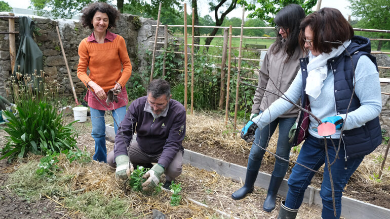 Une personne accroupie est en train de tutorer un jeune plant avec de fines branches. Plusieurs personnes debout l'entourent et l’observent.