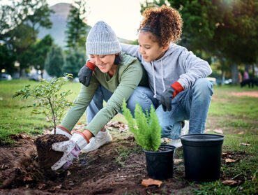 Deux personnes en train de planter un arbre.