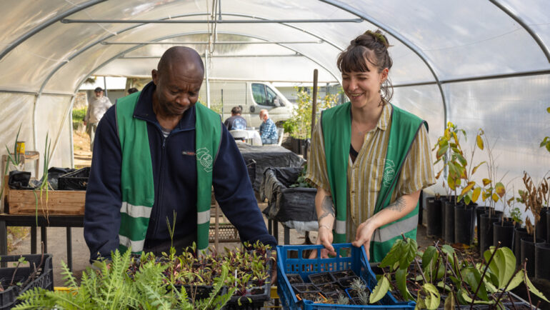 Deux personnes s'affairent devant des semis dans une serre.